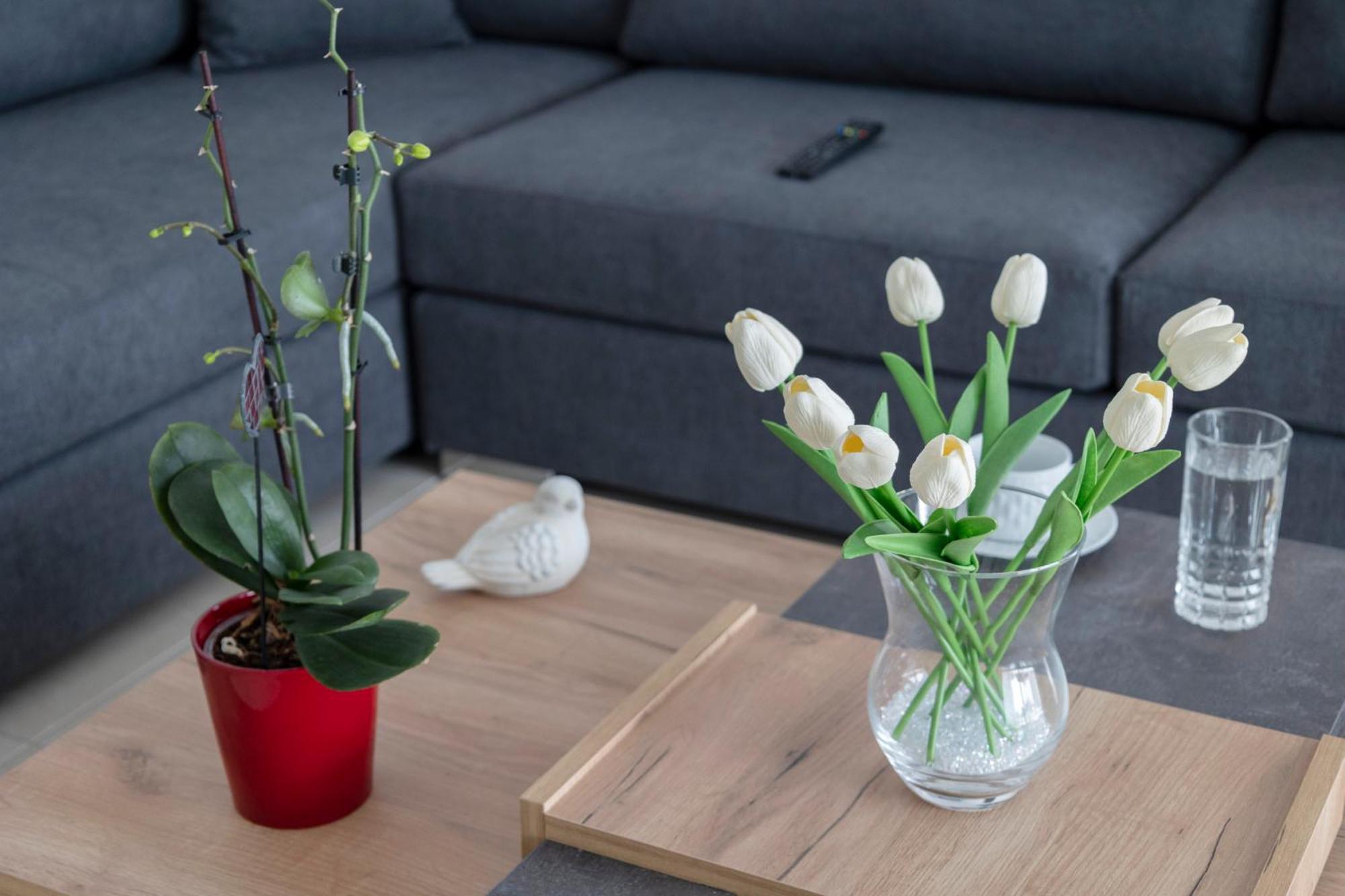 Αegean Εyes Apartment Tinos Bagian luar foto